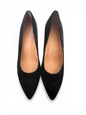 Madewell Suede Pointed Toe Chunky Heel Pumps 🤎 Chic Staple Size 9.5